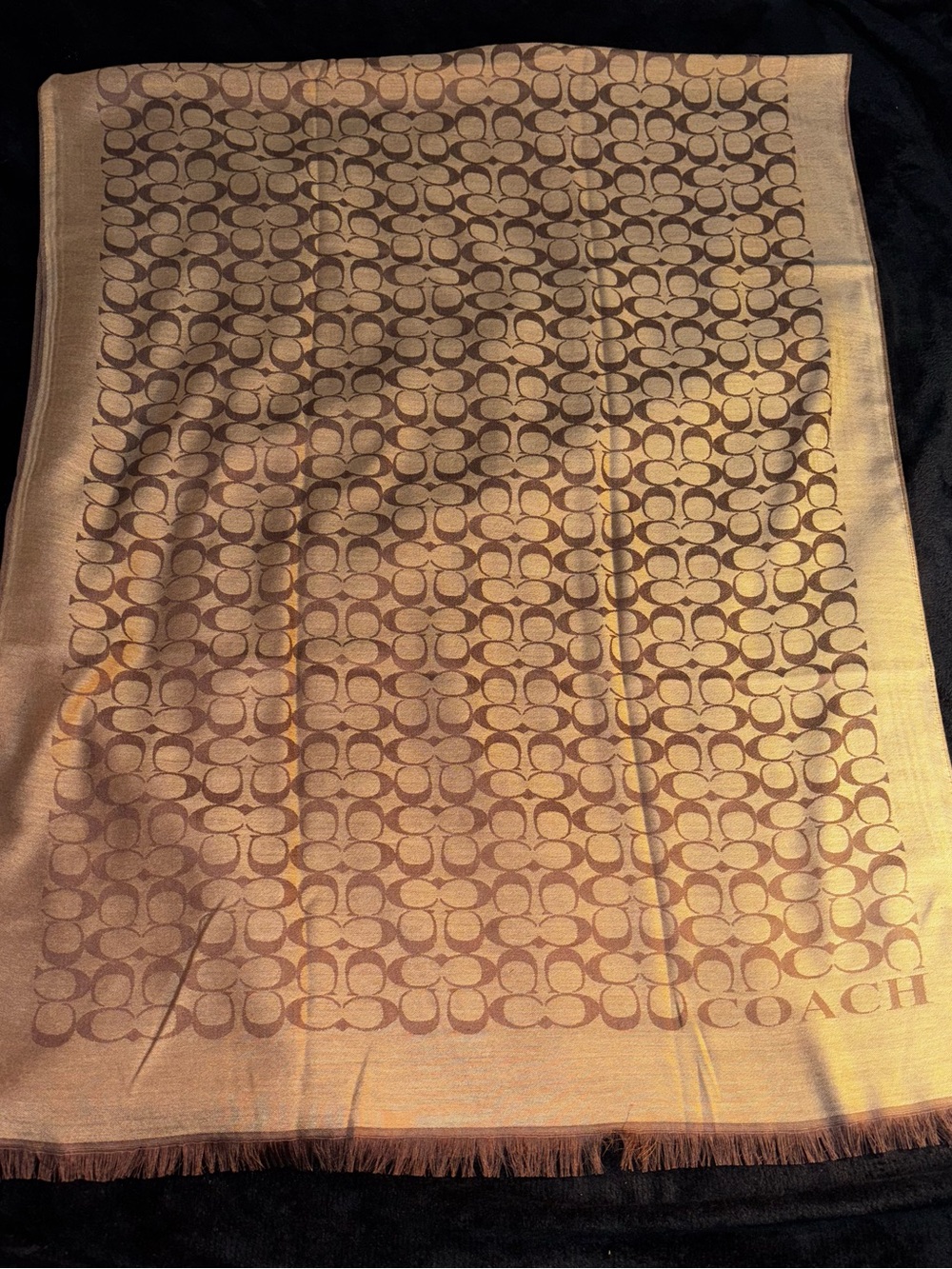 Coach Logo Pattern Scarf in Brown and Tan